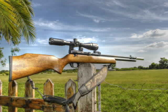 Home 256f8f09 2541 4f6b a201 7c5641912342 1 all 3252